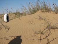 /international/2006Walvisbay/images/DrivingTheTrail/thumbnails/walvis3 106.jpg